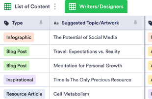 Content Audit Template