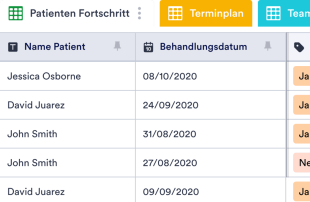 CRM-Vorlage für das Gesundheitswesen Tabellenvorlage