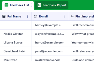Customer Feedback Log Spreadsheet Template