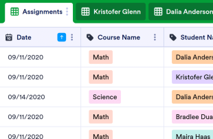 Daily Assignment Checklist Spreadsheet Template