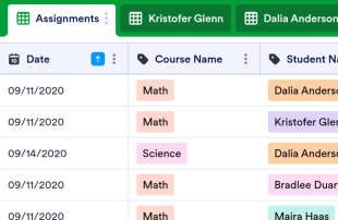 Daily Assignment Checklist Spreadsheet Template