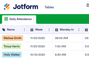 Daily Attendance Spreadsheet Template