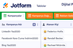 Dijital Pazarlama Kampanya Tablosu Template