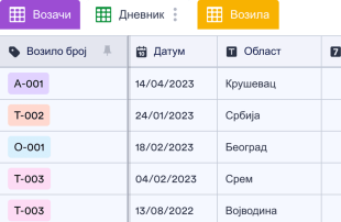 Дневник Возача Spreadsheet Template