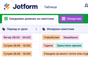 Дневник за главоболие Spreadsheet Template