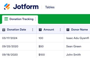 Donation Tracker Template