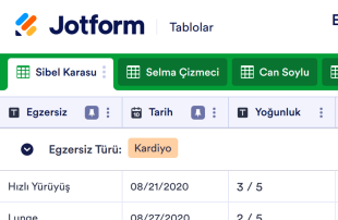 Egzersiz Kayıt Tablo Şablonu