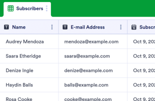 Email Sign Up Spreadsheet Template