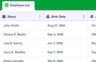 Employee Info Spreadsheet Template