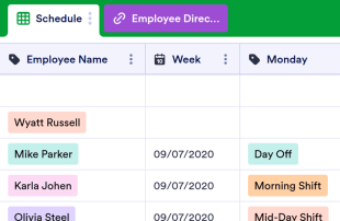 Employee Schedule Template Spreadsheet Template