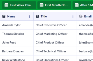 Executive Onboarding Spreadsheet Template