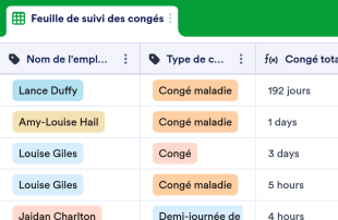 Feuille de suivi des congés et des absences pour maladie Modèle de feuille de calcul