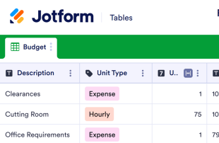 Film Budget Template