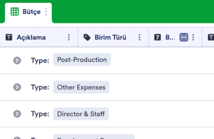 Film Bütçe Tablo Şablonu