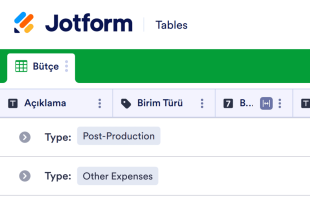 Film Bütçe Tablosu Template