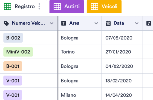 Foglio di Registro Autisti Modello di foglio di calcolo