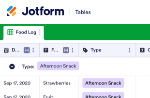 Food Log Template Spreadsheet Template