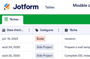 Formulaire de saisie de la liste des tâches quotidiennes Template