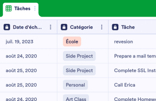 Formulaire de saisie de la liste des tâches quotidiennes Modèle de feuille de calcul