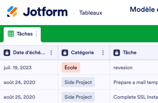 Formulaire de saisie de la liste des tâches quotidiennes Template