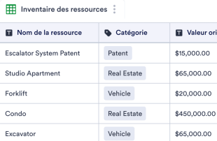 Formulaire d'enregistrement des informations d'inventaire des ressources Modèle de feuille de calcul