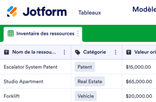 Formulaire d'enregistrement des informations d'inventaire des ressources Modèle de feuille de calcul