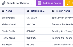 Gebotsübersicht für Auktionen Tabellenvorlage