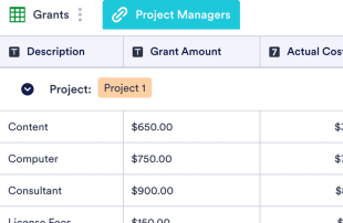 Grant Budget Template