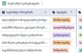 გრანტის მონიტორინგის ცხრილი Spreadsheet Template
