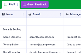 Guest List Template Spreadsheet Template
