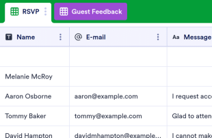 Guest List Template Spreadsheet Template