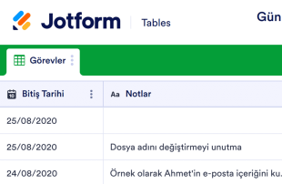 Günlük Görev Tablosu Template