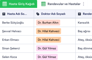 Hasta Giriş Kağıdı Tablo Şablonu