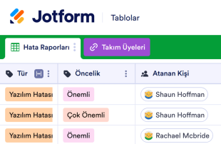 Hata Takip Tablo Şablonu