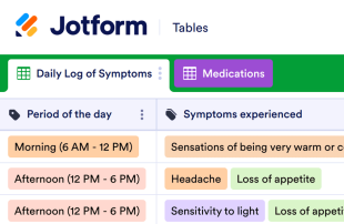 Headache Log Spreadsheet Template
