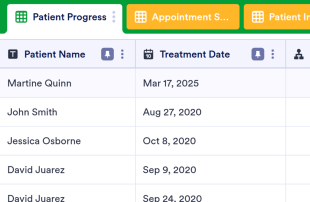 Healthcare CRM Spreadsheet Template
