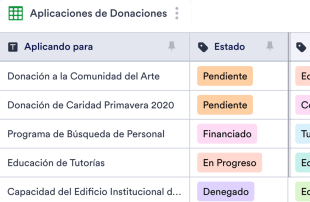 Hoja de Cálculos para dar Seguimiento a las Donaciones Template
