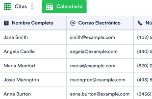 Hoja de Inscripción al Salón Spreadsheet Template