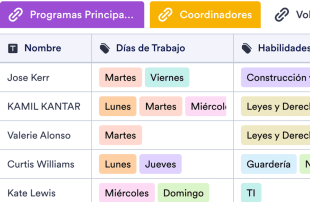Hoja de Inscripción de Voluntarios Spreadsheet Template