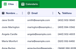 Hoja de registro del salón de belleza Spreadsheet Template