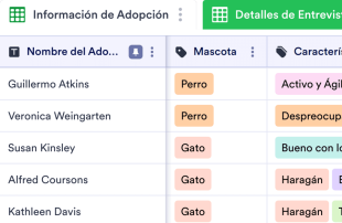 Hoja Informativa de Mascotas en Adopción Plantilla de Hoja de Cálculo