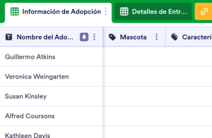 Hoja Informativa de Mascotas en Adopción Plantilla de Hoja de Cálculo