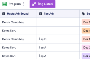 İlaç Programı Tablo Şablonu