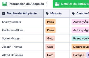 Información para la Adopción de Mascotas Template