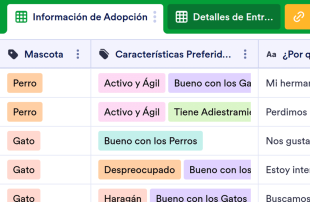 Información para la Adopción de Mascotas Plantilla de Hoja de Cálculo