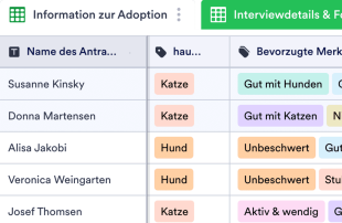 Informationsblatt für Tieradoptionen Tabellenvorlage
