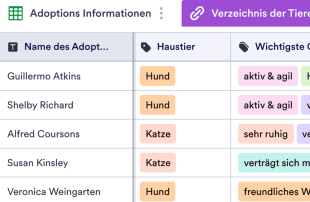 Informationsblatt zur Haustier-Adoption Tabellenvorlage