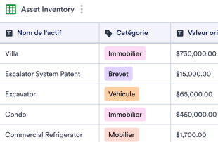 Inventaire des actifs Modèle de feuille de calcul