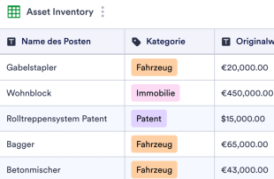 Inventurvorlage für Vermögenswerte Tabellenvorlage