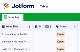 Issue Log Template